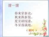 8.《葉子上的小“血管”》課件PPT