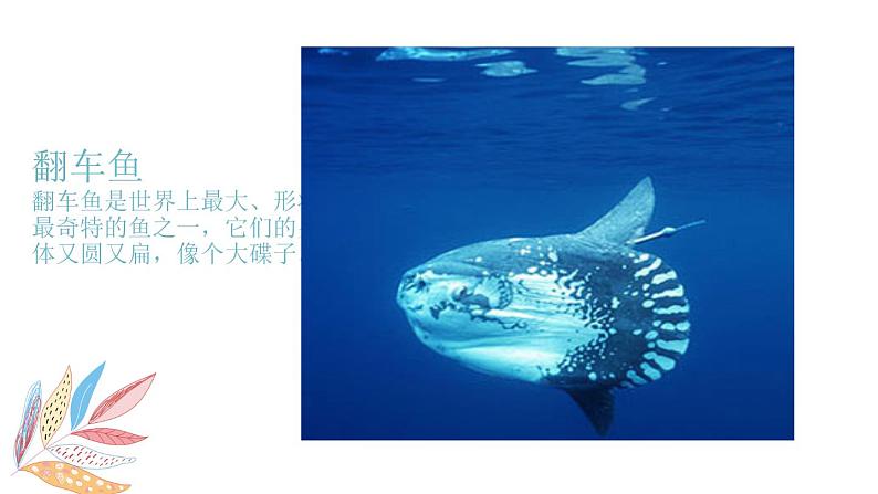 岭南版1下美术第10课《奇异的”海怪“》课件+教案第5页