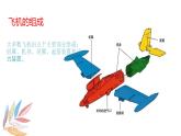 嶺南版1下美術(shù)第13課《小飛機(jī)與降落傘》課件+教案