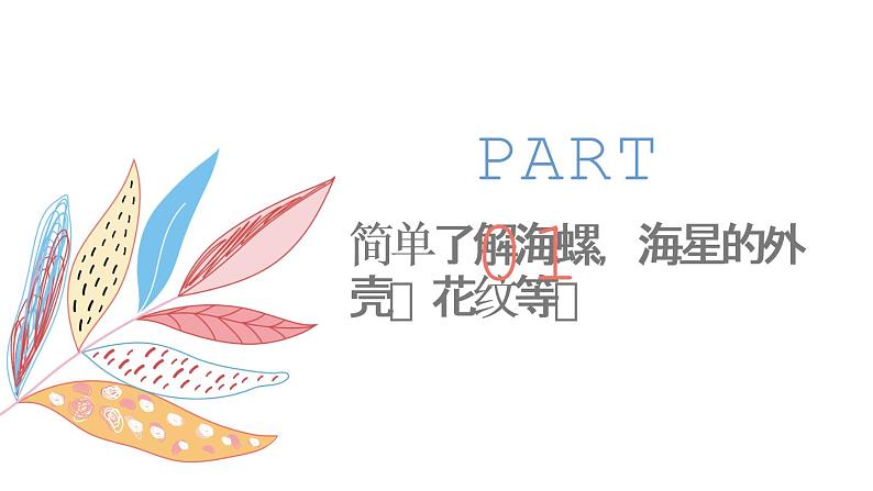 岭南版1下美术第9课《海螺与海星》课件+教案第2页