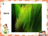 嶺南版2下美術(shù)第3課《美妙多變的線條》課件+教案
