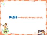岭南版1下美术第2课《海底世界真奇妙》课件+教案