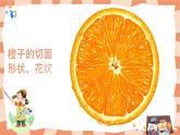 岭南版2下美术第7课《切开的果实》课件+教案