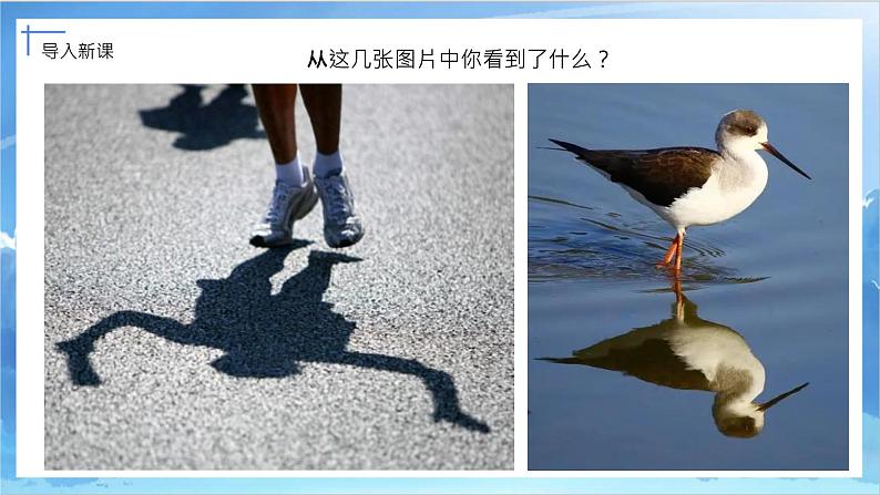 第十七课《画影子》课件第2页