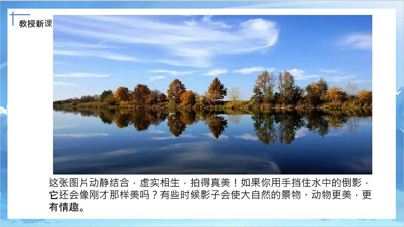 第十七课《画影子》课件第4页