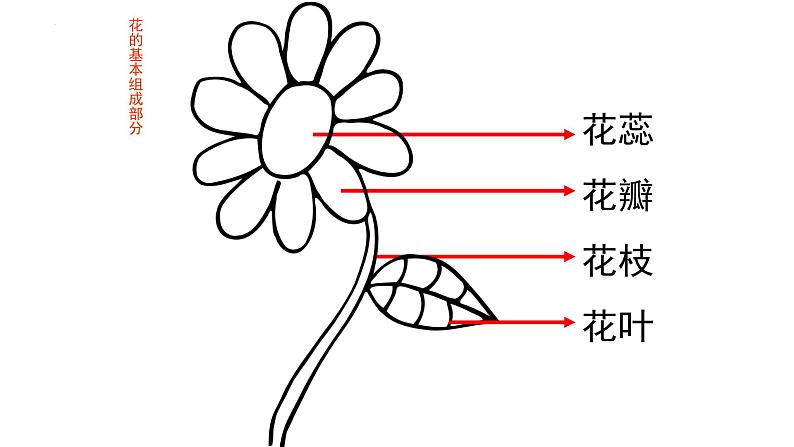 一年级3五彩缤纷的花朵 (课件)-2021-2022学年美术一年级下册03