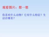 嶺南版小學(xué)美術(shù)一下《5.19我們的動物樂園》課件PPT