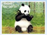 嶺南版小學(xué)美術(shù)一下《5.19我們的動物樂園》課件PPT