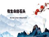 蘇少版六年級下冊美術(shù)《第15課 有生命的石頭》課件