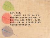 嶺南版小學(xué)美術(shù)四下《3.8 變些生畫為裝飾畫》課件PPT