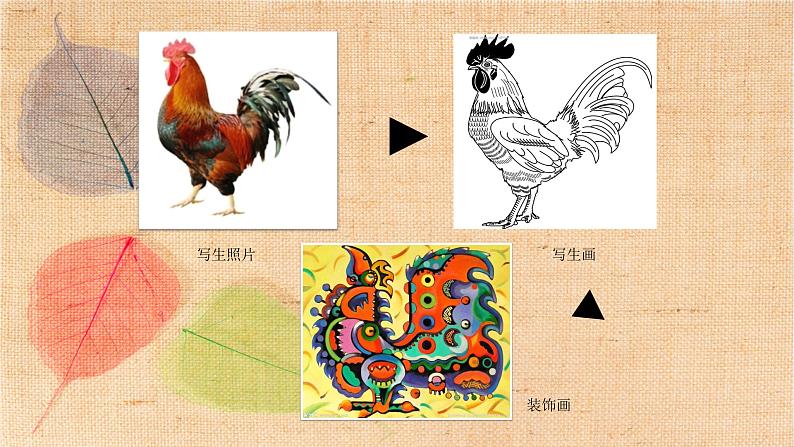 岭南版小学美术四下《3.8 变些生画为装饰画》课件PPT第6页