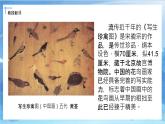 第十四課《我的收藏卡》課件+教案