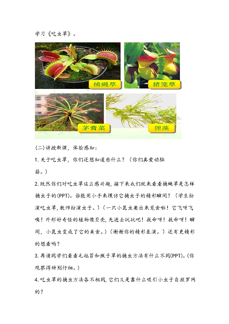 人美版美术二年级下册《吃虫草》教学设计第2页