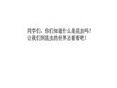 人美版一年級下冊美術課件（我和昆蟲）
