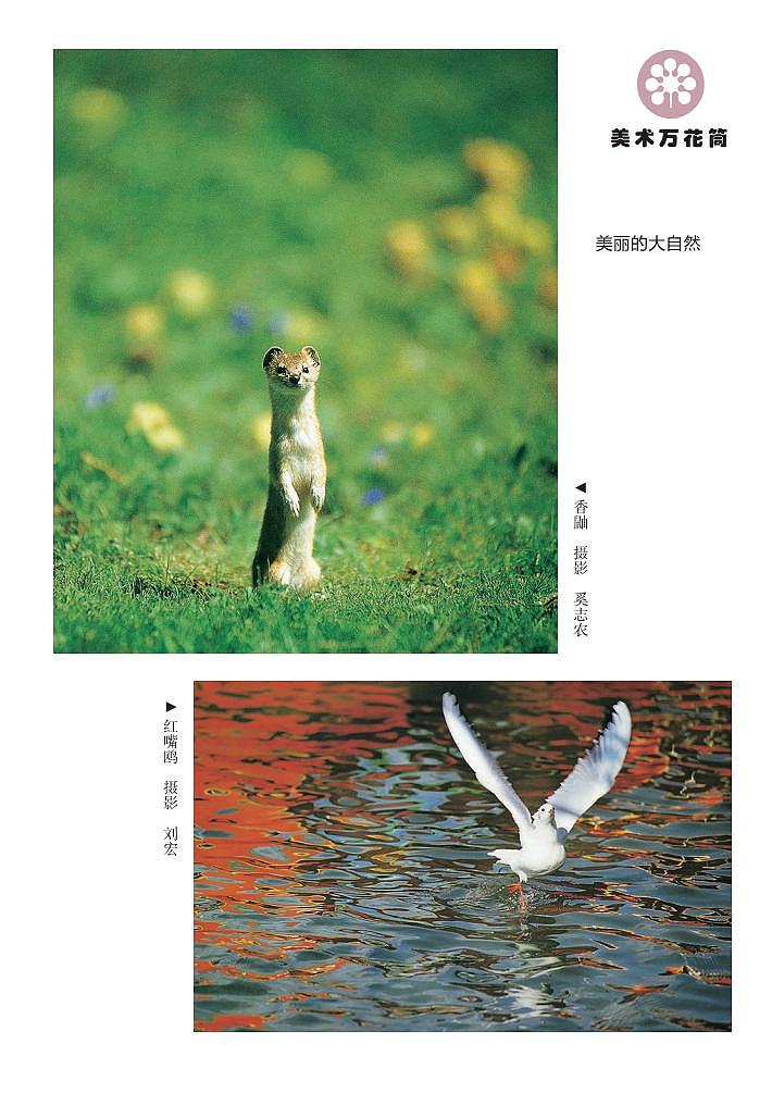 （湖南美术出版社）美术二上 电子课本第2页