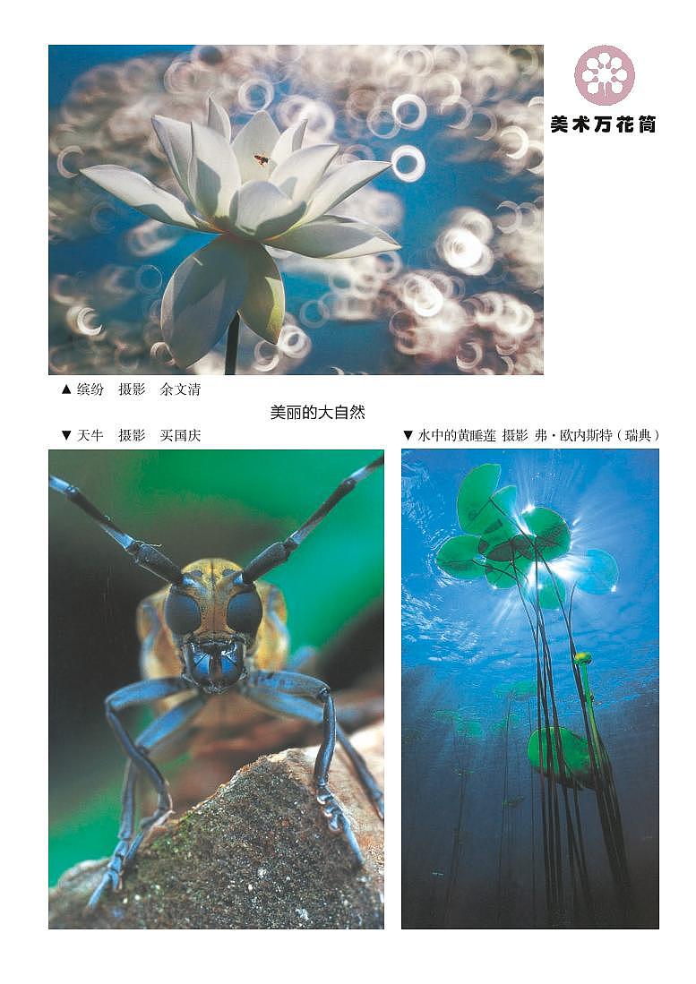 （湖南美术出版社）美术二下 电子课本第2页