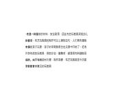 人美版二年級(jí)下冊(cè)美術(shù)課件（家鄉(xiāng)的布玩具）