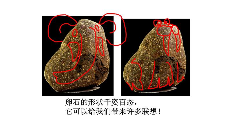 人美版三年级下册美术课件《卵石动物造型》第5页