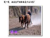 人美版四年級下冊美術(shù)課件《學畫農(nóng)民畫》