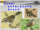 人美版四年級下冊美術課件《認識中國畫》2