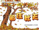 湖南美術(shù)出版社小學(xué)美術(shù)三年級上冊 11. 留住秋天課件PPT