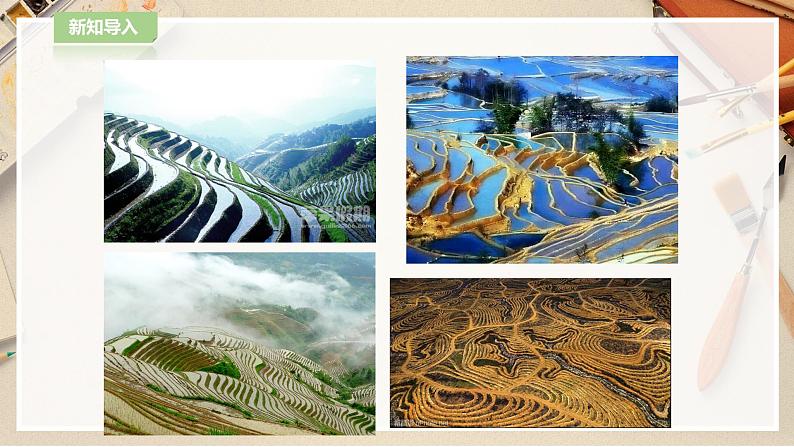 【人教版】四上美术  第4课生活中的线条 课件+教案03