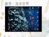 海洋世界課件