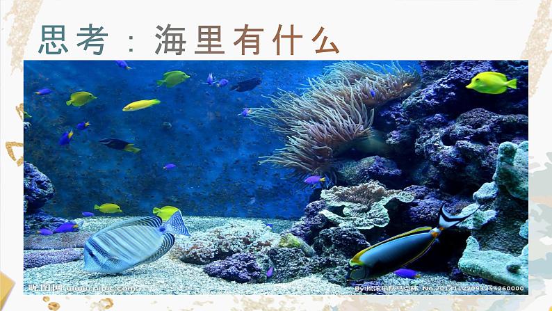 海洋世界课件第4页