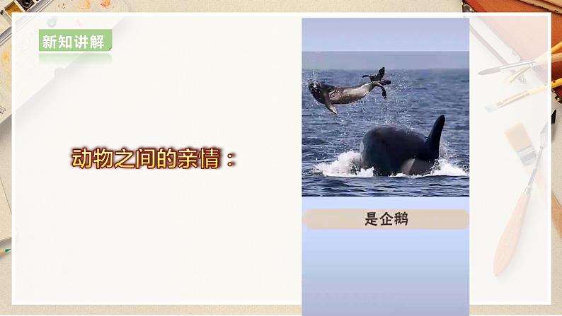 【人美版】六上美术  第5课《亲亲密密一家子》课件+教案+素材08