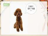 【人美版】五上美術(shù)  第13課《拼貼添畫》（課件+教案+視頻）