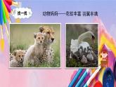 人美版美术一年级上册《找妈妈》课件