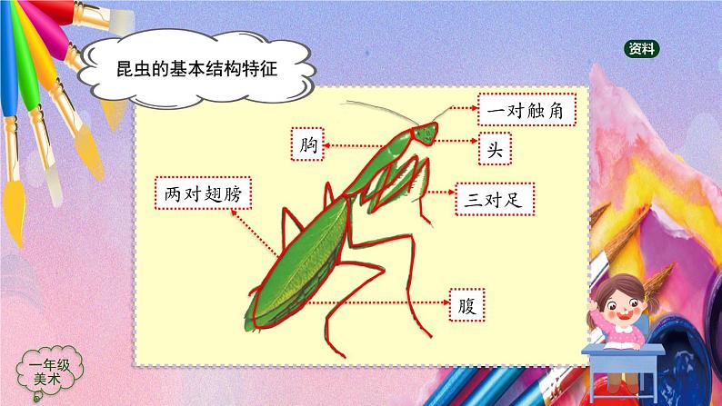 人美版美术一年级上册《昆虫的一家》 课件第4页