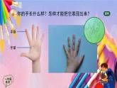人美版美术一年级上册《我的手》课件