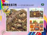 人美版美术一年级上册《勤劳的小蚂蚁》课件