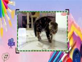 人美版二年级美术上册《小花猫在睡觉》课件