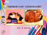 人美版二年级美术上册《小花猫在睡觉》课件
