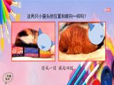 人美版二年级美术上册《小花猫在睡觉》课件