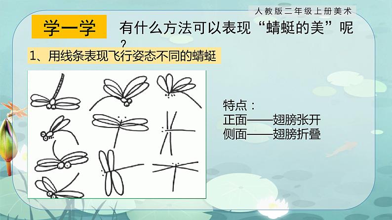 【核心素养目标】人教版2上美术第9课《蜻蜓飞飞》课件+教案（含教学反思）08