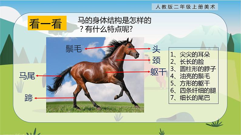 【核心素养目标】人教版2上美术第15课《我和马儿在一起》课件+教案（含教学反思）05