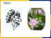 湘美版美術(shù)四年級(jí)上冊(cè) 第6課 花兒朵朵 課件