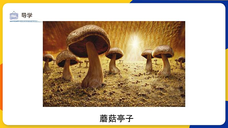 湘美版美术四年级上册 第15课 这个地方有点怪 课件06