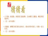 湘美版五年級美術(shù)上冊 第6課 水墨動物 課件