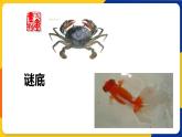 湘美版五年級美術(shù)上冊 第6課 水墨動物 課件