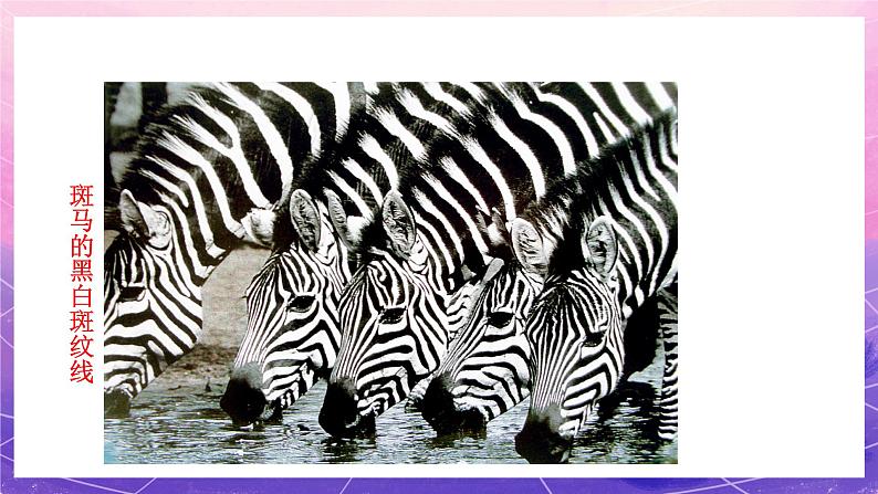 六年级上册美术人教版：第4课《线与造型》课件第6页