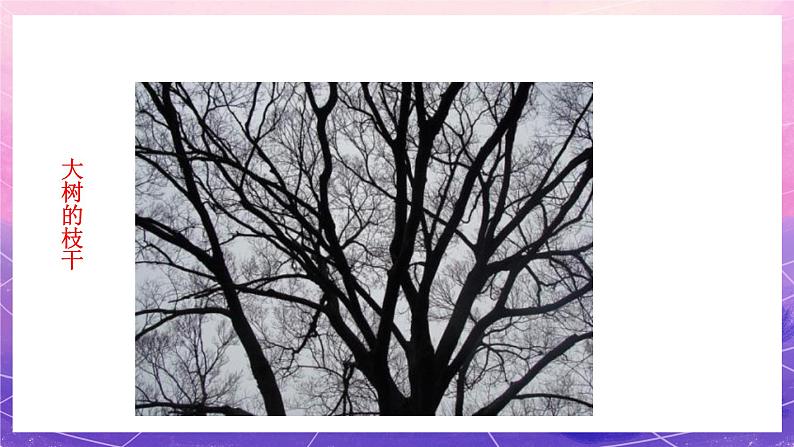 六年级上册美术人教版：第4课《线与造型》课件第8页