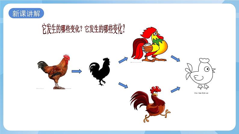 浙美版美术四年级上册17《生肖贺卡》课件+教案+素材08