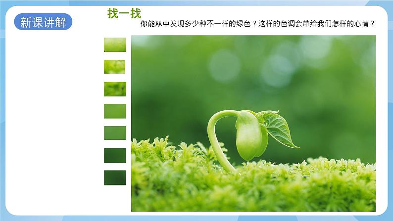 浙美版美术五年级上册15《色彩的世界》课件第3页