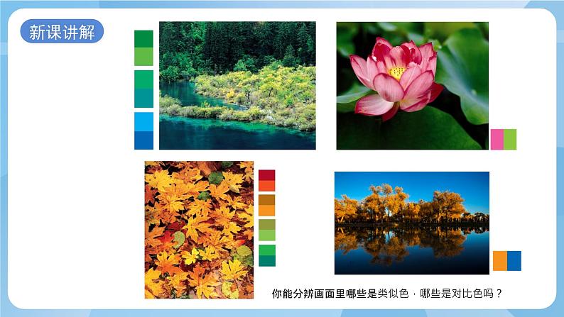 浙美版美术五年级上册15《色彩的世界》课件第6页