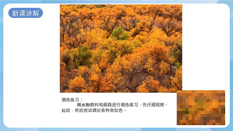 浙美版美术五年级上册15《色彩的世界》课件第7页