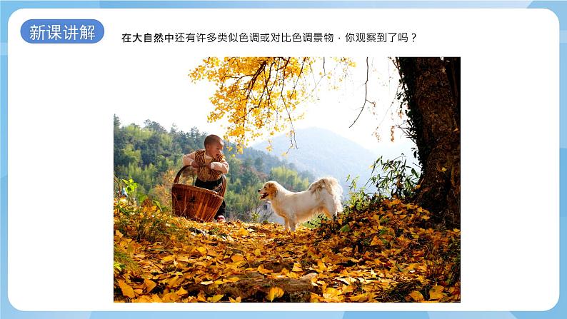 浙美版美术五年级上册15《色彩的世界》课件第8页